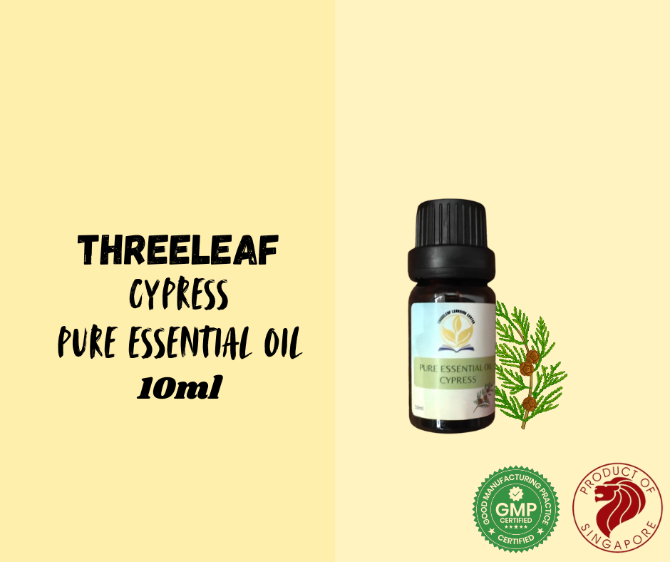 Cypresspng Leos Style