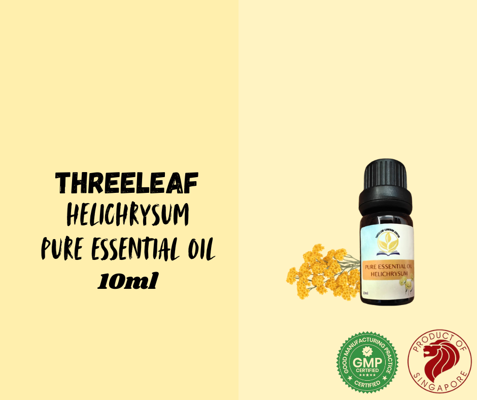 Helichrysumpng Leos Style