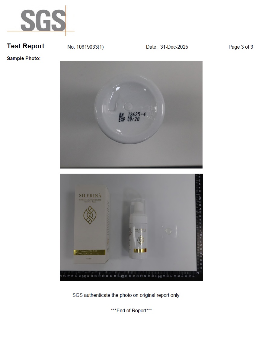 SGS Test Report - Page 3